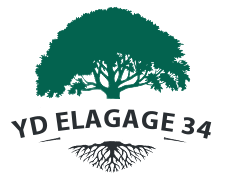 elagage-yd-elagage